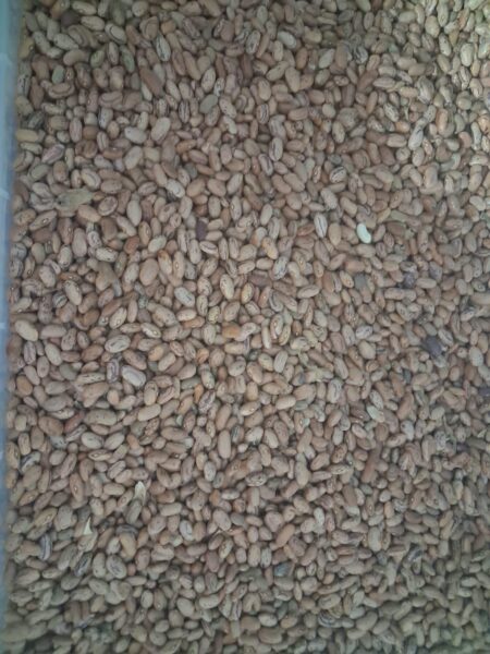 Beans 400g