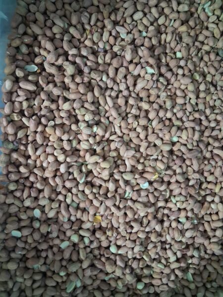 Nzungu 400g